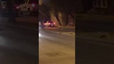 بالفيديو.. نمر يتجول في الشارع يثير ذعر السعوديين