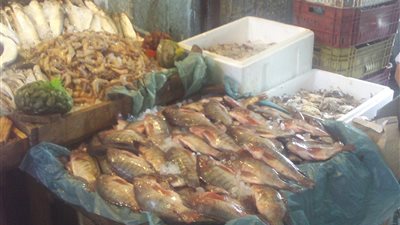 البلطي يسجل 30 جنيها بسوق الجملة