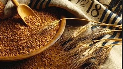 7924 طن قمح تغادر ميناء دمياط عبر النقل البري