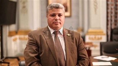 برلماني يرفض عودة مجلس الشورى: يزيد حجم المصروفات