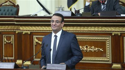 متحدث البرلمان: اللجنة التشريعية تعد تقريرا حول أزمة الشوبكي