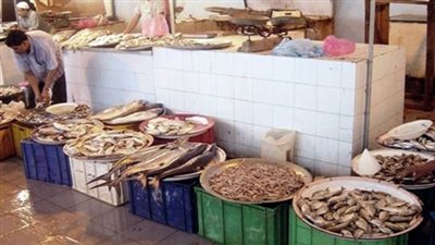 «عمليات القاهرة»: حملات مستمرة على محال الأسماك