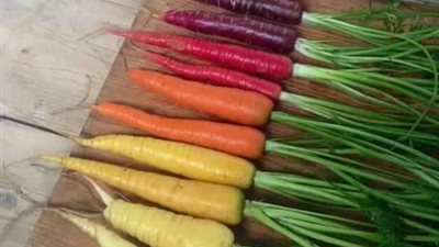 أفضل صور الطعام المرتبة بشكل مهدئ للأعصاب (صور)