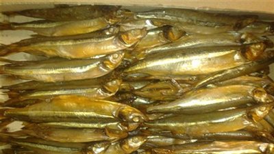 «التموين»: ضبط رنجة مجهولة المصدر وألبان فاسدة بالجيزة