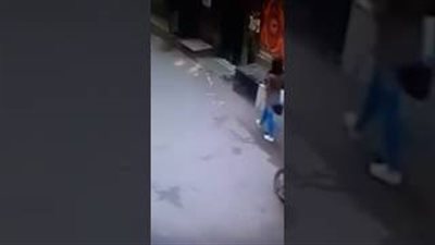 بالفيديو.. كاميرا مراقبة تكشف سرقة هاتف فتاة في نهار رمضان بالشرقية