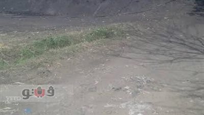 بالصور.. إغلاق 6 مكامير فحم مخالفة بطوخ في القليوبية