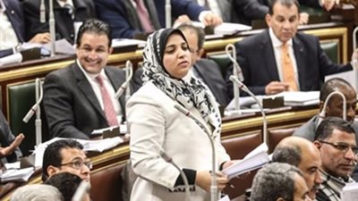 برلمانية: المصالحات مع رجال الأعمال لم تعرض على «النواب»