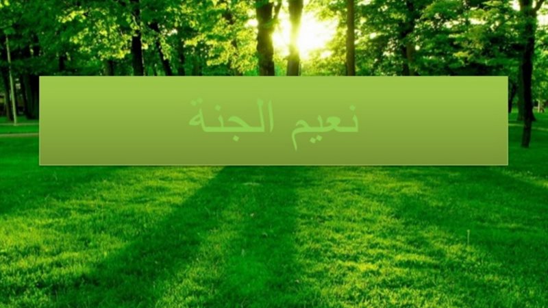 فيتو
