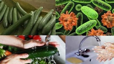 بعد وفاة السائحين البريطانيين.. 4 معلومات عن بكتيريا «إي كولاي»