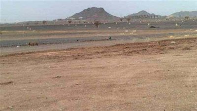 مصدر قضائي: رد 240 مليون جنيه إلى خزانة الدولة في فساد الأراضي