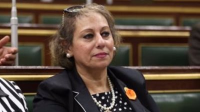 نائبة: تعديل قانون الضريبة على الدخل بشأن العقارات دون استثناءات