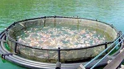 تخصيص أراضٍ بديلة لأصحاب المزارع السمكية بدمياط