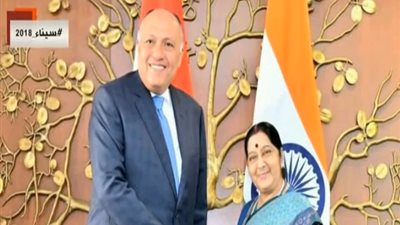 رئيس المجلس المصري الهندي: نسعى لإنشاء جامعة في مصر (فيديو)