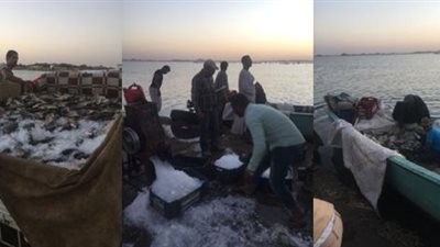 حملة مكبرة على المسطح المائي ببحيرة السد العالي