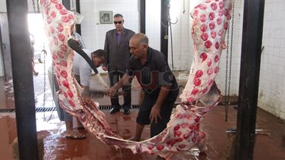 ‏‏رئيس مدينة أبو رديس يتفقد المجزر الآلي بحي السلام (صور)