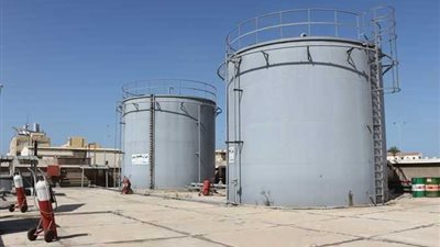 172 ألفا و564 طن قمح وحبوب في صوامع الغلال بدمياط