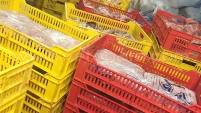 بالصور.. ضبط مصنع يطحن مخلفات الدواجن لتحويلها إلى «برجر»