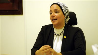 برلمانية تطالب بكشف آلية إنشاء قاعدة بيانات للمصريين بالخارج