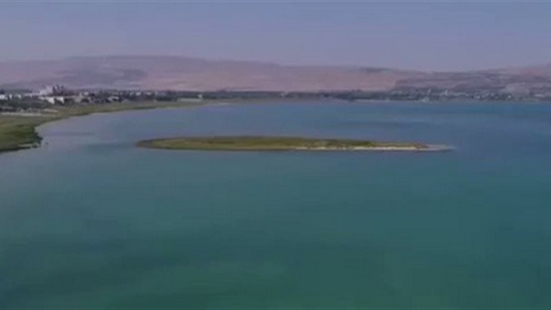 فيتو