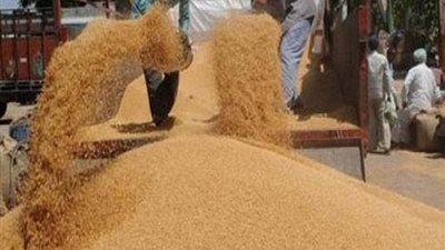 الرقابة الإدارية بالسويس تكشف تعطل إحدى شون تخزين القمح