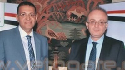 المصرية للوعي التأميني: قرارات الرقابة المالية تدعم المشروعات الصغيرة