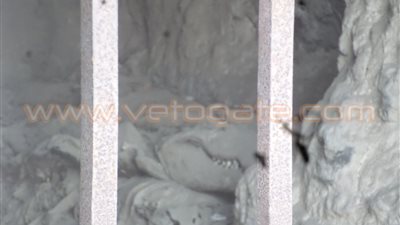 بالصور.. التبرك بتمساحين محنطين بالمنيا من أجل الإنجاب أو الزواج «تقرير»