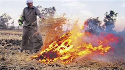 تحرير 25 محضرا لحرق قش الأرز بالشرقية اليوم