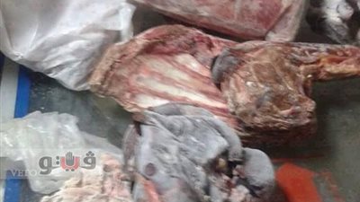 بالصور.. ضبط 100 كيلو لحوم فاسدة داخل محل في بورسعيد