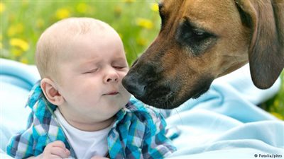 قراءة طفلك لكلبه المحبب تحسن مهاراته اللغوية