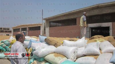 بالصور.. عسران: توريد 862100 طن قمح بالشرقية حتى الآن