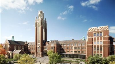 دراسة: تلوث المناخ في المدن الأمريكية حول لون الطيور إلى الأسود