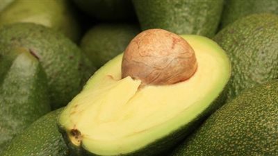 ثمرة الأفوكادو تحتوي على الألياف والحمض الدهني المفيد