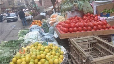 بالصور.. ثبات أسعار الخضراوات وتباين في اللحوم بسوق سليمان جوهر