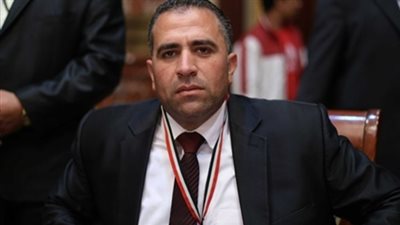 نائب: الإشراف القضائي على الانتخابات زيادة ضمانات لا تخالف الدستور