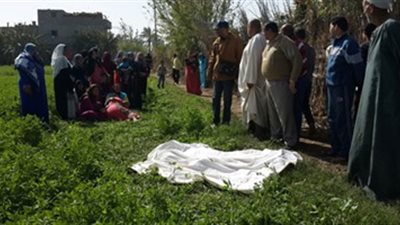 العثور على جثة وسط الزراعات في الشرقية