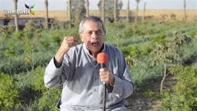 عكاشة: تشكيك الأمم المتحدة في انتخابات الرئاسة مقدمة للتدخل في البلد