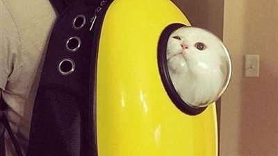 بالصور.. أفضل حقيبة لمحبي القطط مستوحاة من رواد الفضاء