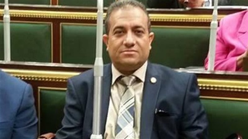  هشام الشاطورى 