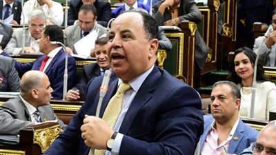 وزير المالية يستعرض مع السيسي تسوية الطعون الضريبية وإنهاء المنازعات