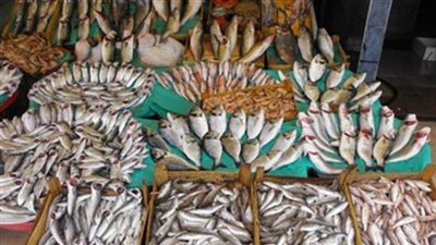 البلطي يسجل 15 جنيها بسوق العبور