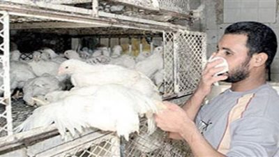 اشتباه في وفاة حالة وإصابة أخرى بإنفلونزا الطيور بالشرقية