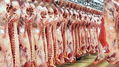 الأوقاف تعلن رقما قياسيا في توزيع لحوم الأضاحي في تاريخها