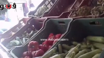 بالفيديو.. استقرار أسعار الخضار بالأسواق.. والبامية بـ17 جنيها