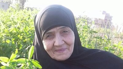 نشرة المحافظات: سعدية تنقذ 6 مسنين بالدقهلية من رحلات عمرة مزيفة