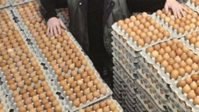 وقف بيع بيض دجاج الأقفاص في عدد من الدول الأوروبية