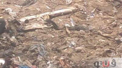 إعدام 4 مزارع سمكية في الإسماعيلية بعد اكتشاف تلوثها