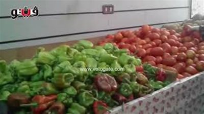 بالفيديو.. استقرار أسعار الخضار اليوم بالأسواق