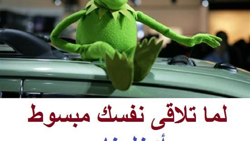 فيتو