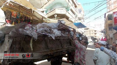 بالصور.. رفع أتلال القمامة من شوارع دسوق