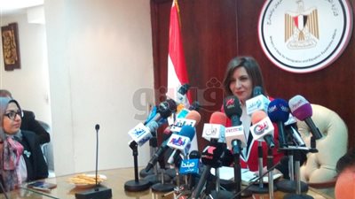 إطلاق منصة في «فيس بوك» مخصصة لانتخابات المصريين بالخارج